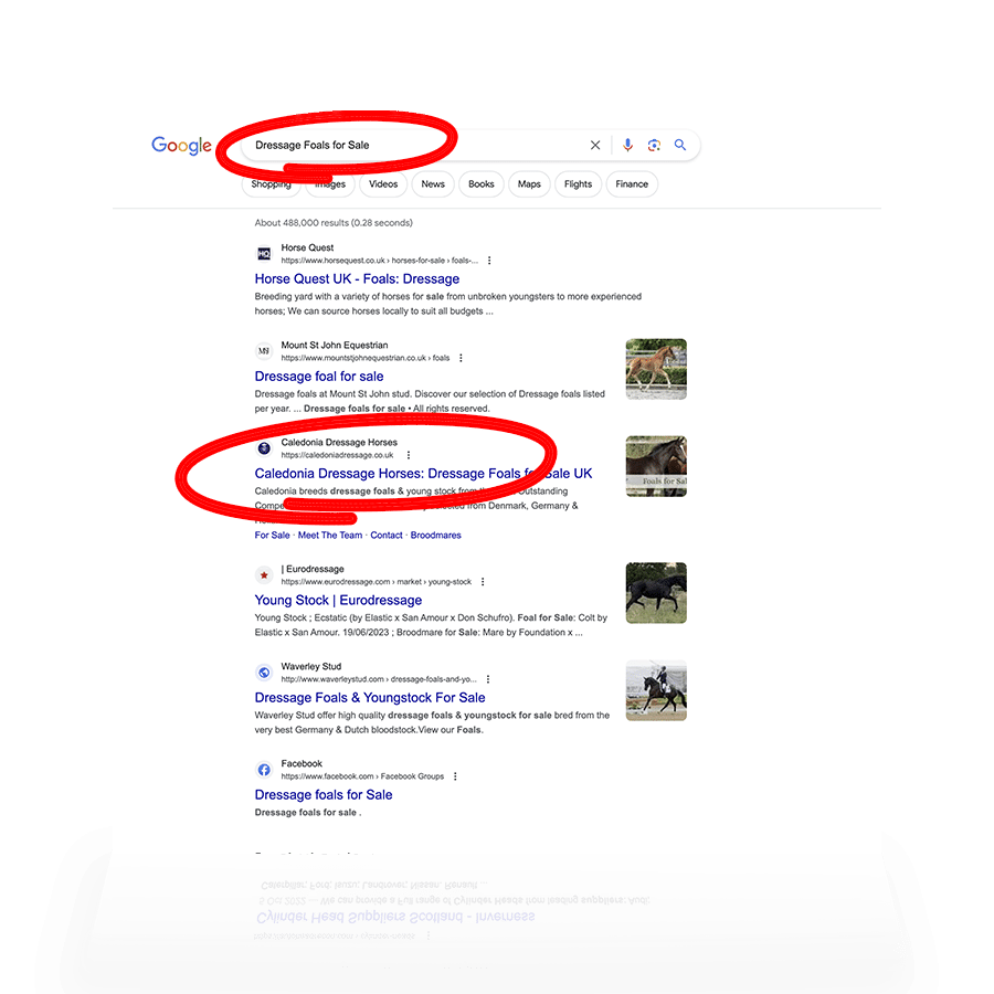 SEO-Services-Scotland SEO Services Inverness Scotland